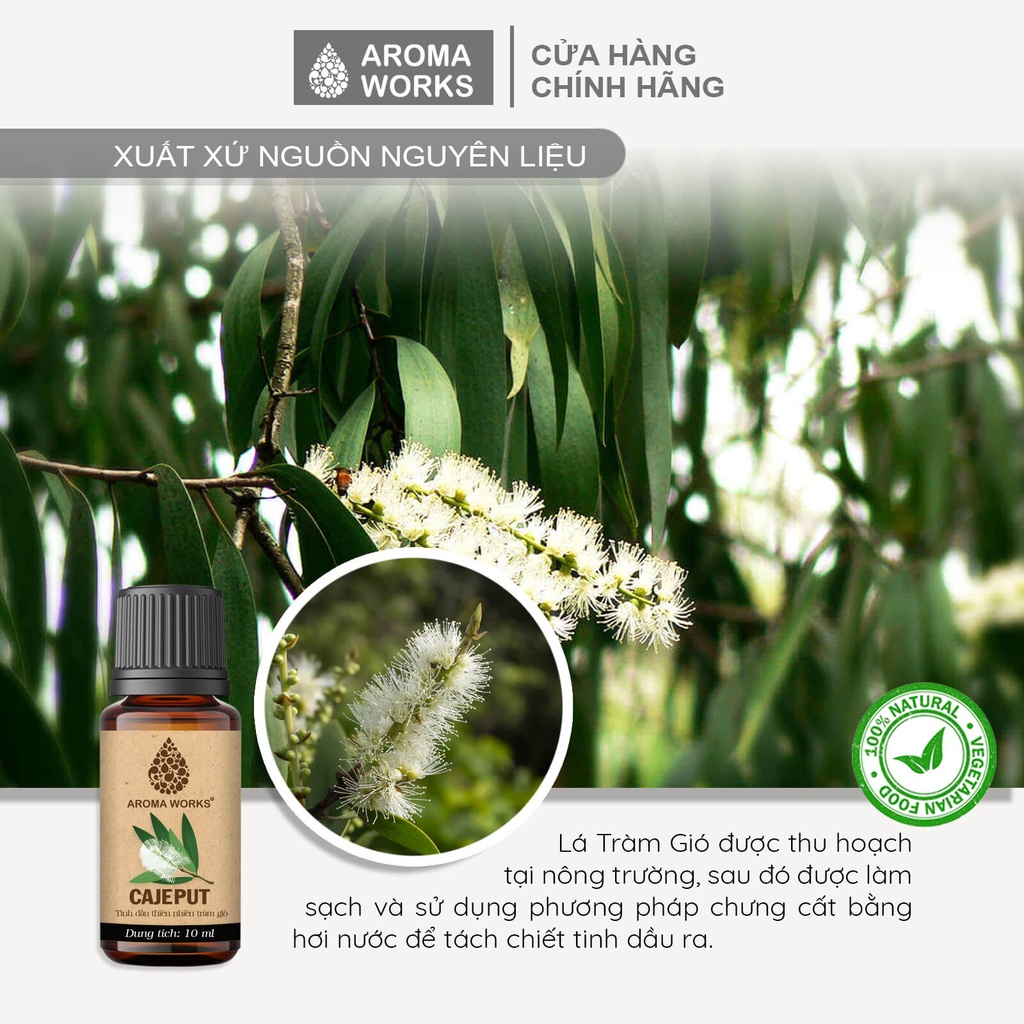 Tinh dầu Tràm gió Aroma Works xông phòng, đuổi muỗi, khử mùi, giải cảm - Cajeput