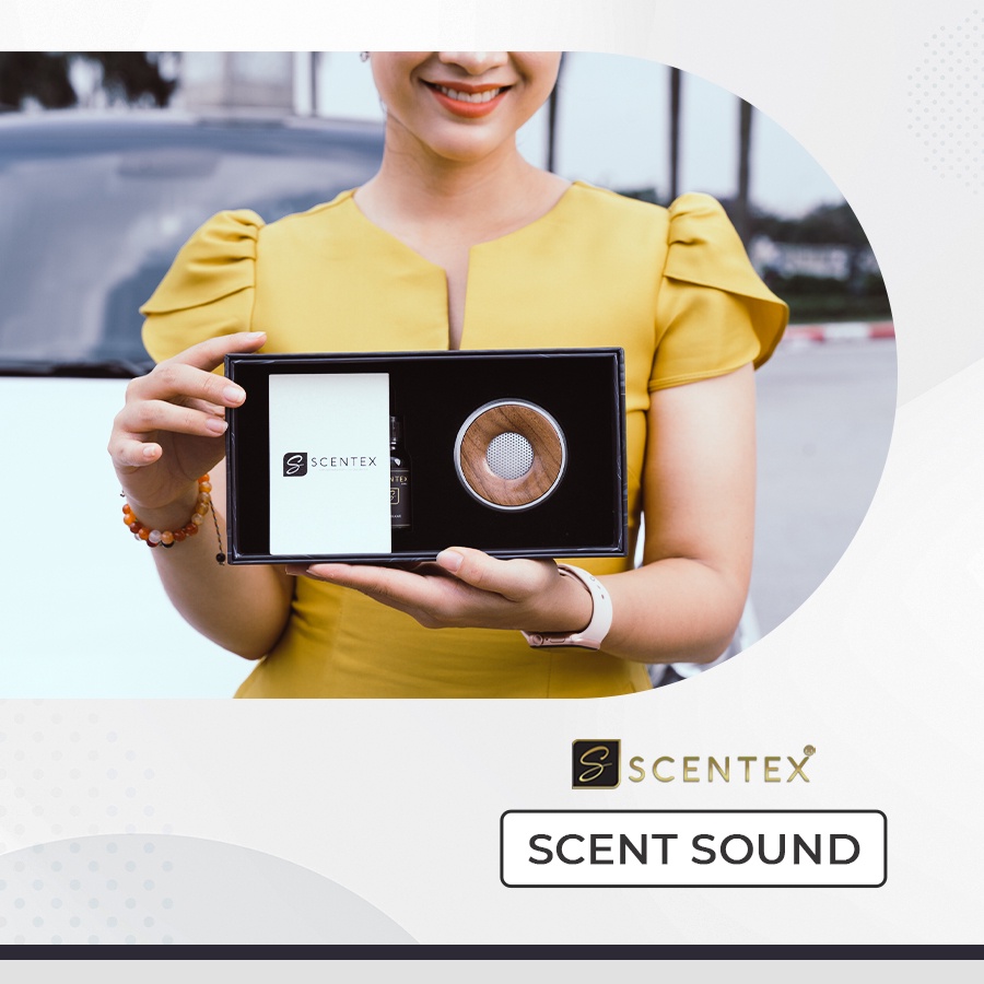 Nước hoa xe hơi cao cấp Scent Sound, khử mùi chống say xe, thoải mái tinh thần, tặng kèm tinh dầu, Thương hiệu Scentex