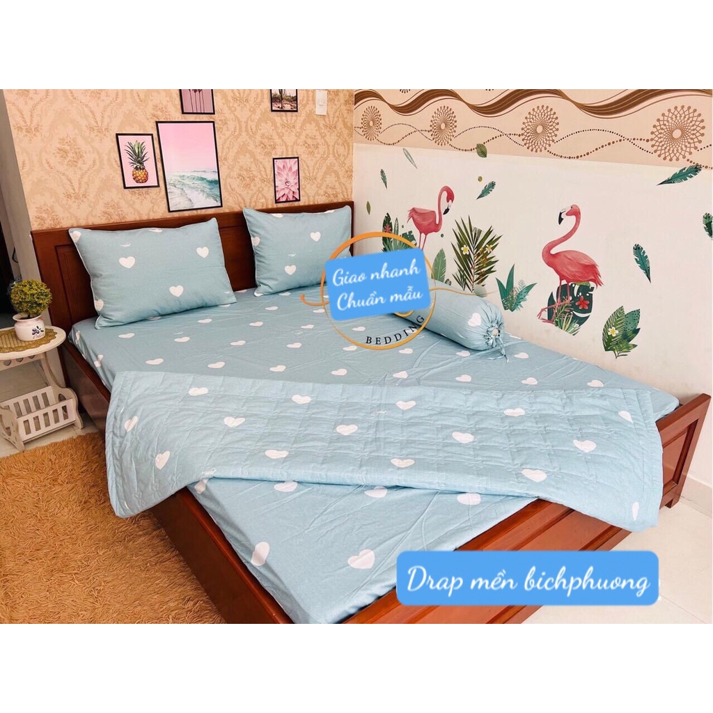 Bộ Drap Cotton Thắng Lợi Kèm Mền Chần Gòn { CHUẨN LOGO} chat để chọn màu nha các bạn | BigBuy360 - bigbuy360.vn