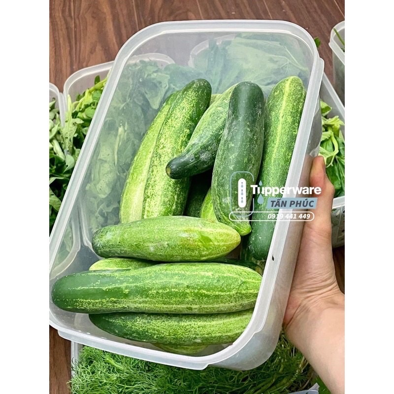 Bộ Trữ Mát Vent 4 Hộp Tupperware