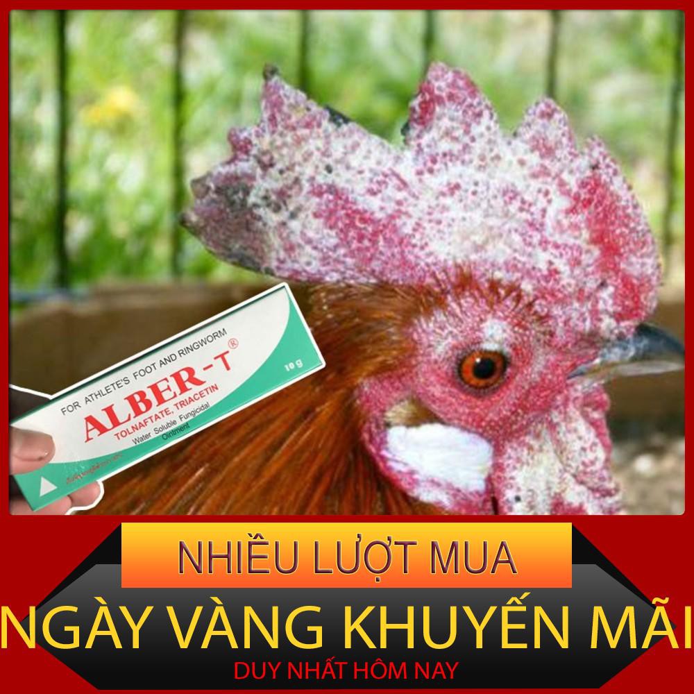 Trị nấm gà, mốc gà chọi và chim, thuốc lác gà đá ALBER-T dạng tuýp bôi 10gr thuốc tăng lực gà đá