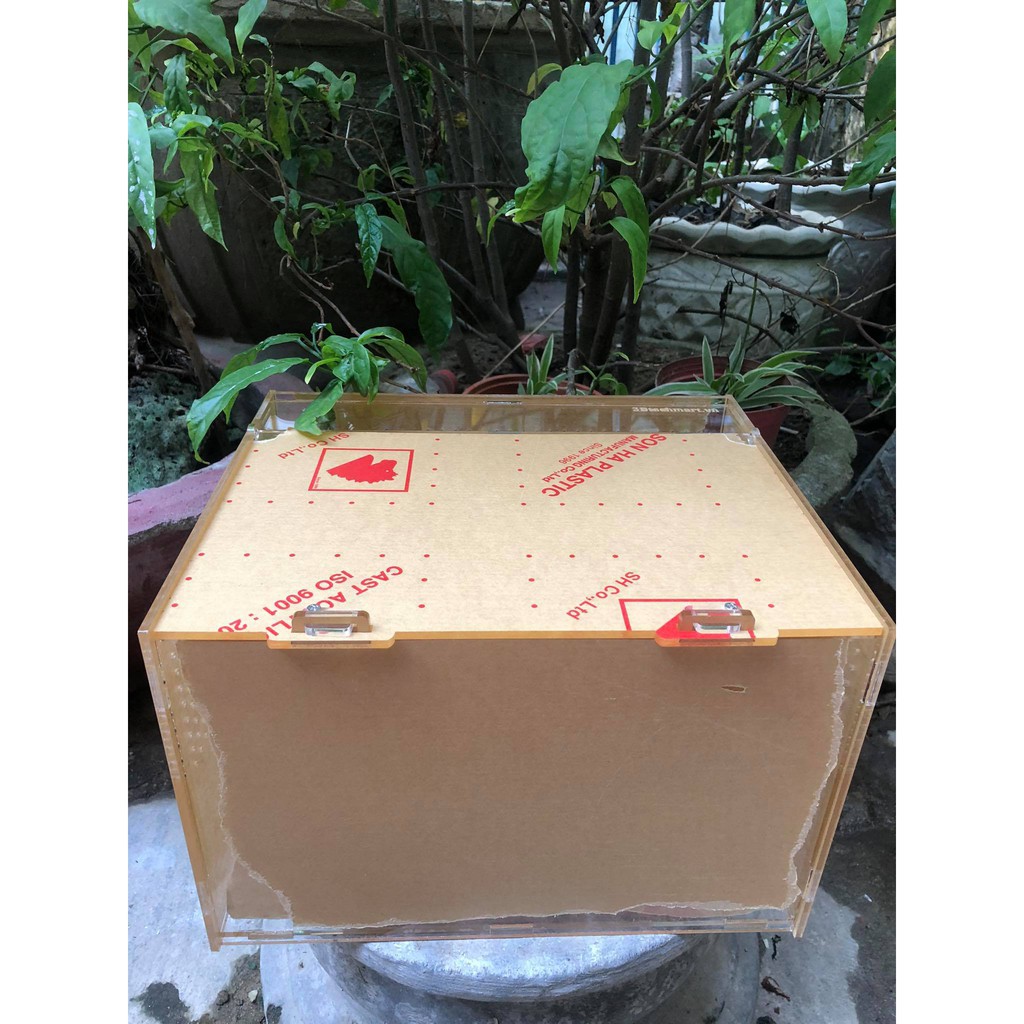 Hộp Nuôi Nhện/ Rết/ Rùa/ Ếch/ LG/bò sát...mica cao cấp 30x20x20