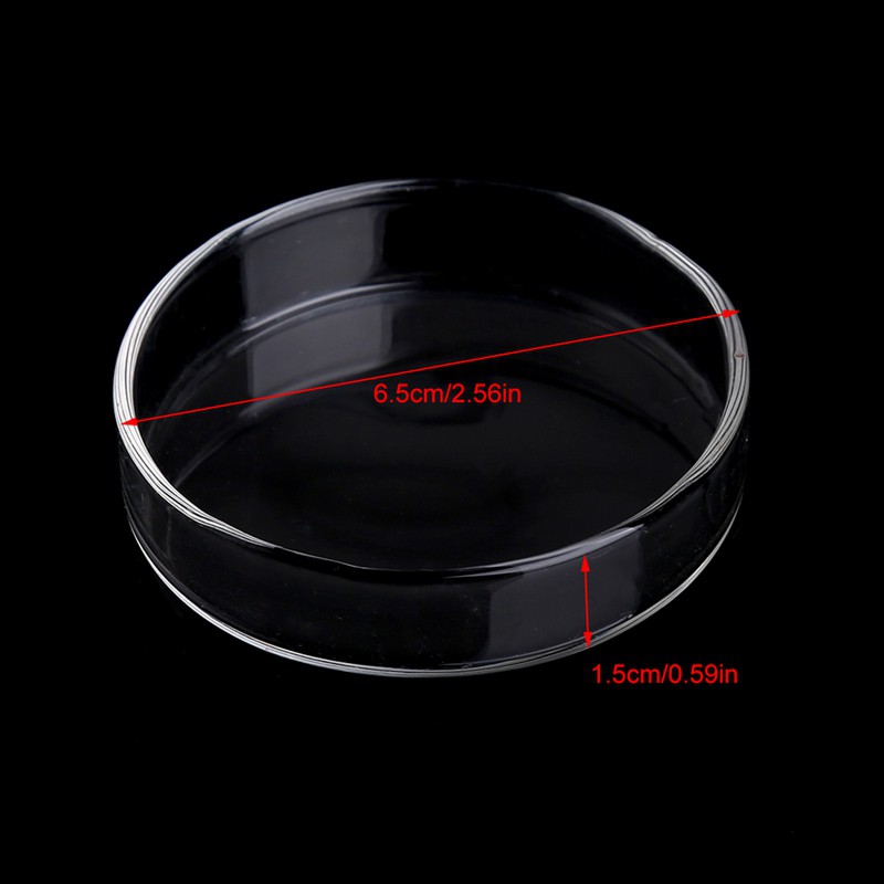 Aquarium Fish Tank Acrylic Shrimp Feeding Food Dish Bowl Feeder Tray Container