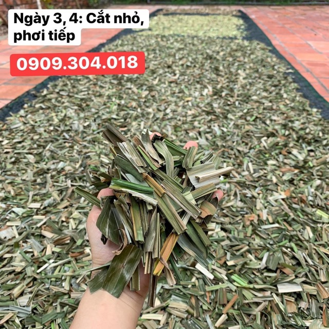 Lá Dứa - Lá Nếp Sấy Khô 1kg