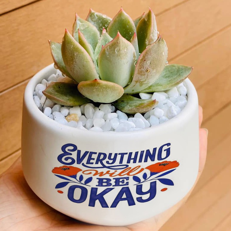 [IN HÌNH VẼ CHỮ THEO YÊU CẦU] Chậu Sứ Trồng Cây Cảnh Để Bàn, Sen Đá, Xương Rồng, Terrarium- Mẫu kim cương