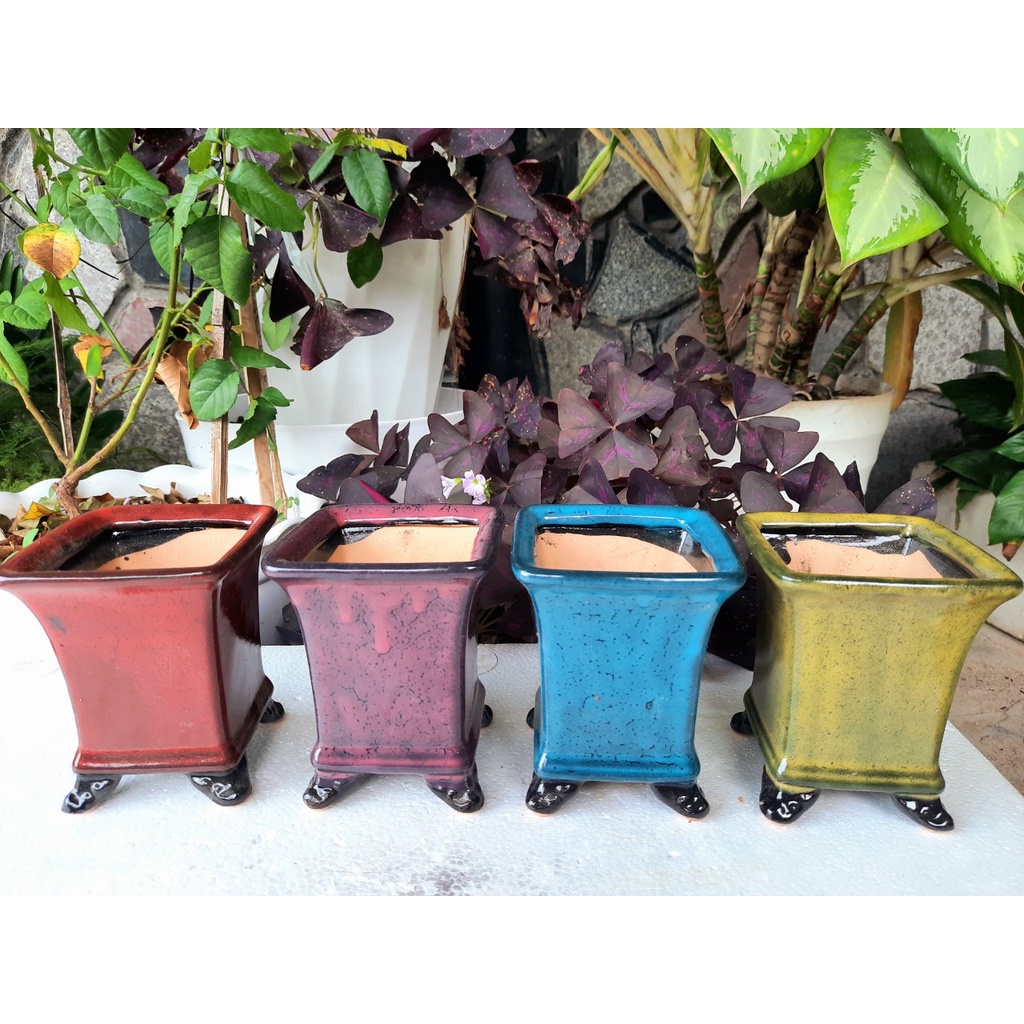 Chậu kiểu vuông mẫu Hàn Quốc xuất khẩu mix 4 màu trồng sen đá, xương rồng