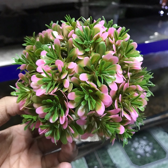 RONG GIẢ TRANG TRÍ HỒ CÁ NON BỘ ĐƯỜNG KÍNH 13CM CAO 12CM