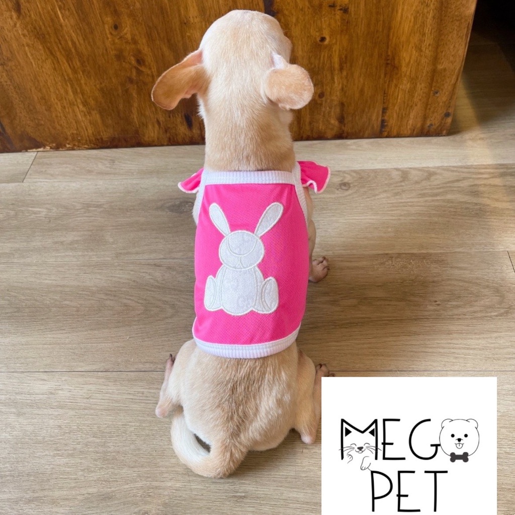 ÁO CHÓ MÈO - ÁO THUN DỄ THƯƠNG CUTE - CHỌN MẪU