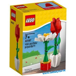 40187 Lego Flower Display - Bộ LEGO Hoa trưng bày