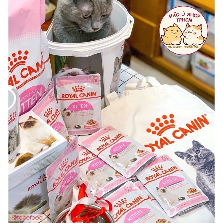 PATE ROYAL CANIN KITTEN GÓI 85G