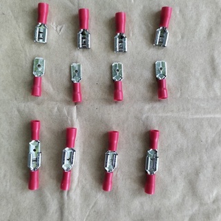 10 đầu cốt điện-cos đực
