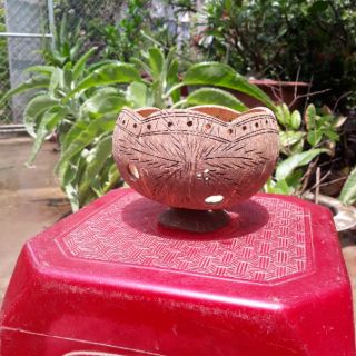 Chậu Gáo Dừa miệng kiểu có đế