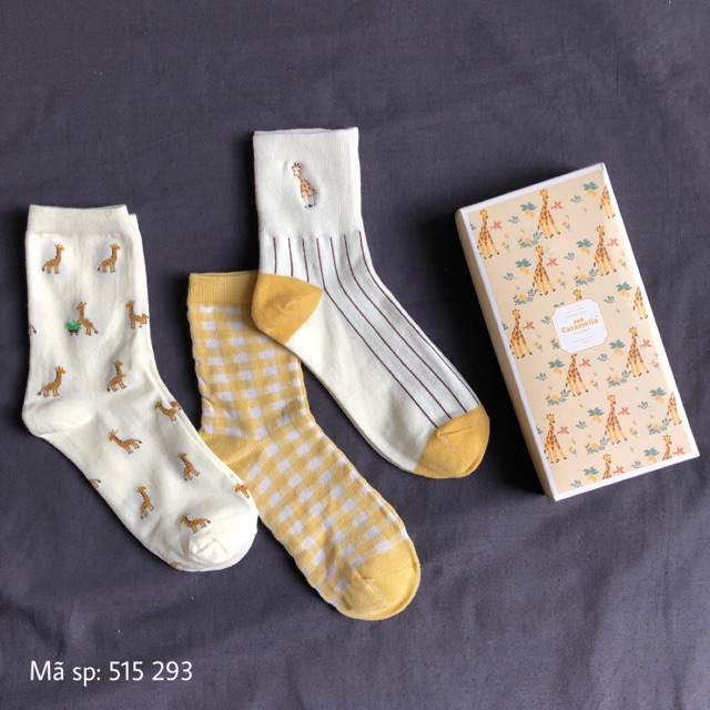 Combo 3 đôi vớ cổ lửng xinh xắn