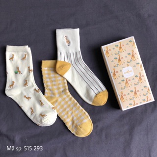 Combo 3 đôi vớ cổ lửng xinh xắn