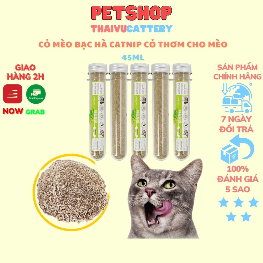 Cỏ Mèo bạc hà Catnip cỏ thơm cho mèo 45m giúp mèo thư giãn trộn thức ăn tiêu búi lông-Thaivucattery
