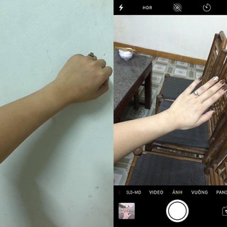 thảo mộc thảo mộc