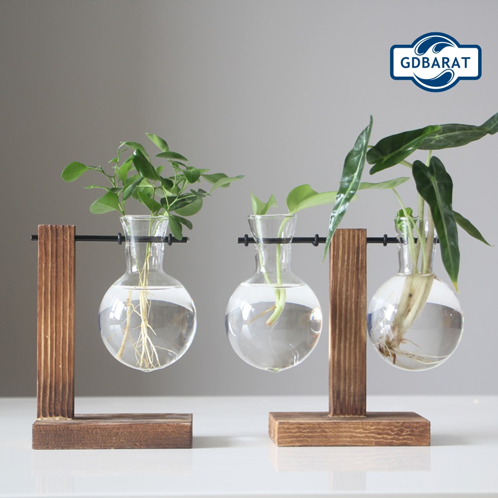 Chậu Hoa Bằng Thủy Tinh Trong Suốt Kèm Khung Gỗ Độc Đáo Tiện Dụng