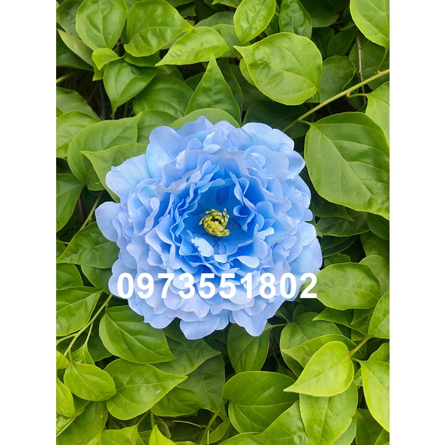 Đầu bông mẫu đơn trang trí size lớn