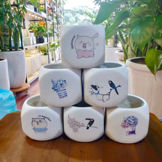 Chậu trồng cây mini in hình - chậu cây văn phòng để bàn, sen đá xương rồng