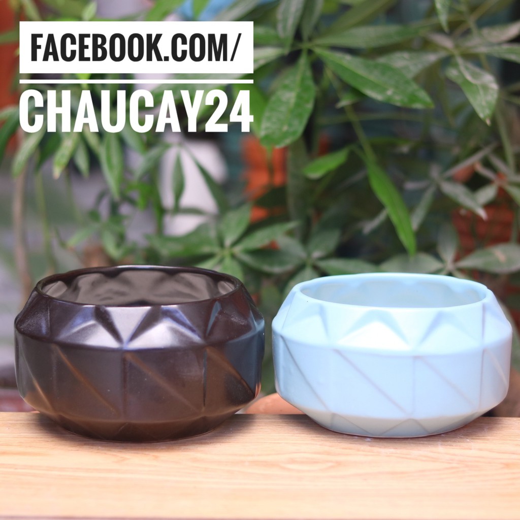 Chậu Cây Trồng Sen Đá, Xương Rồng, Cây Cảnh Mini, Tiểu Cảnh Terrarium Hình Đa Giác Xoáy