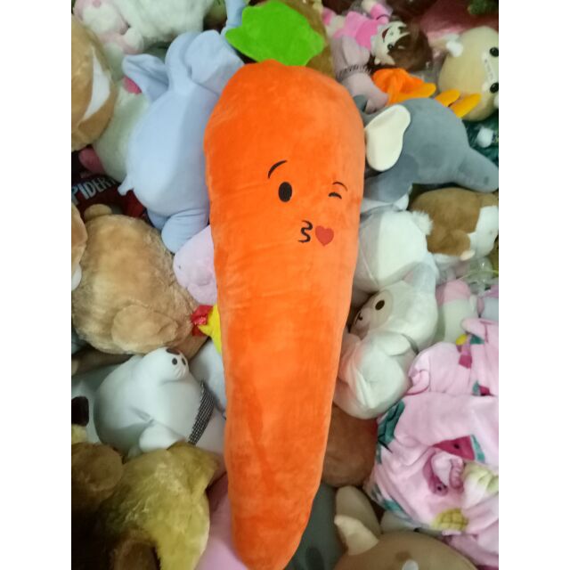 Cà rốt 1m1