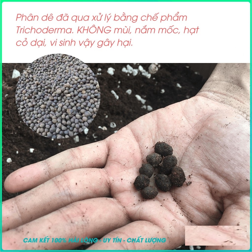 Phân Dê Ninh Thuận Đã Qua xử lý vi sinh ủ mục Chuyên dùng cho hoa kiểng - Túi 1kg
