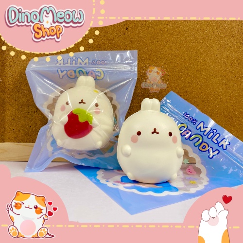 Squishy thỏ Molang đáng yêu
