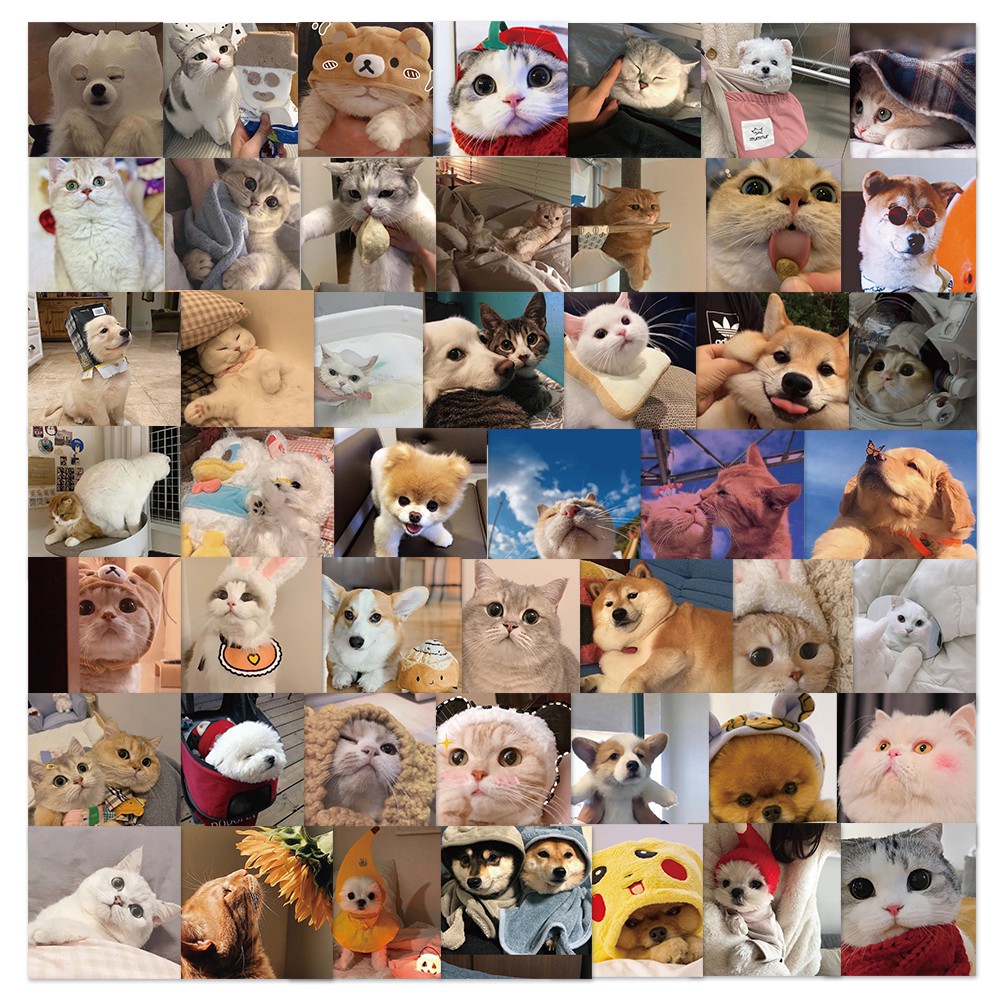 Set 10/25/50 miếng dán trang trí hình mèo đáng yêu chống thấm nước đa năng tiện lợi