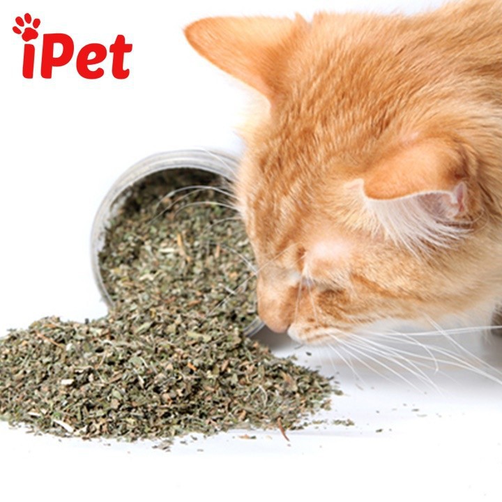 Cỏ Bạc Hà Catnip Cho Mèo Dạng Hộp 250ml - iPet Shop