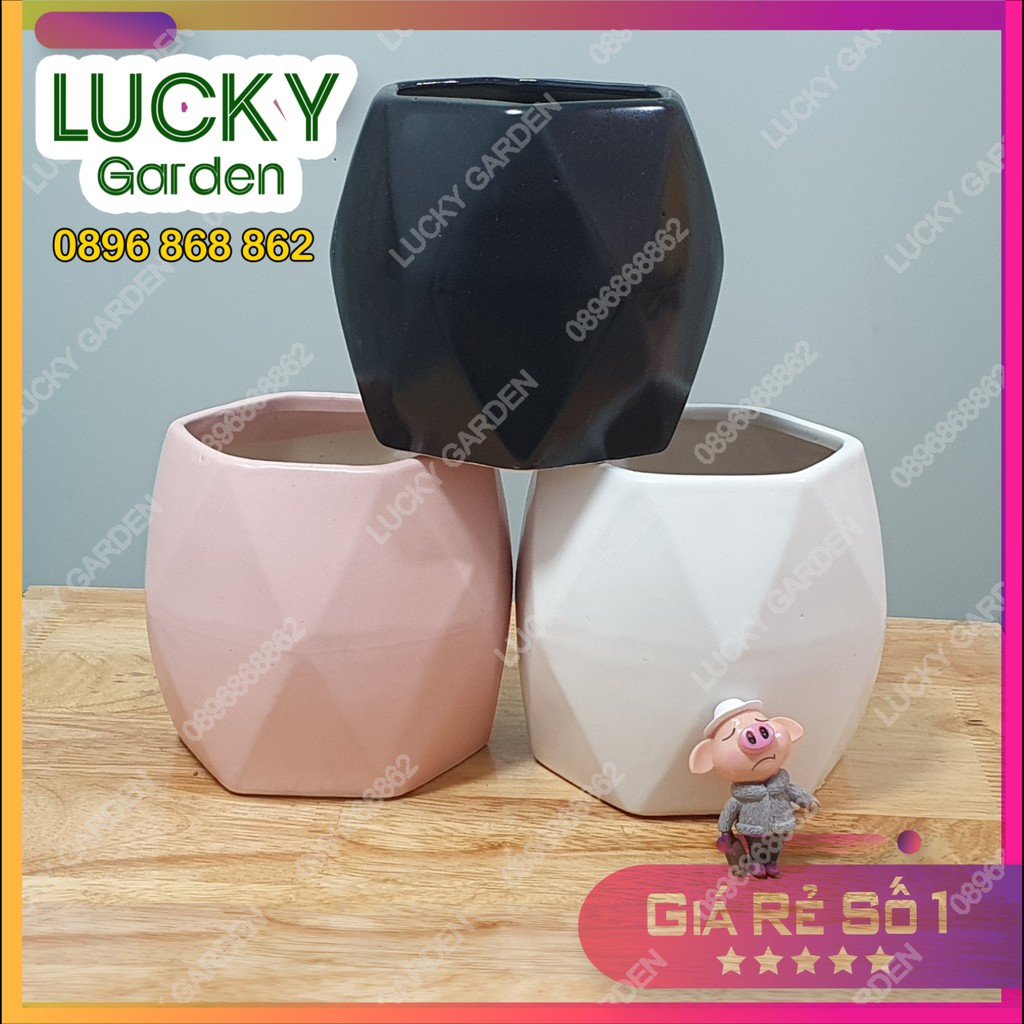 Chậu Gốm Sứ Bát Tràng Đa Giác