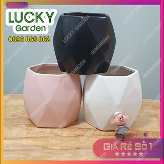 Chậu Gốm Sứ Bát Tràng Đa Giác