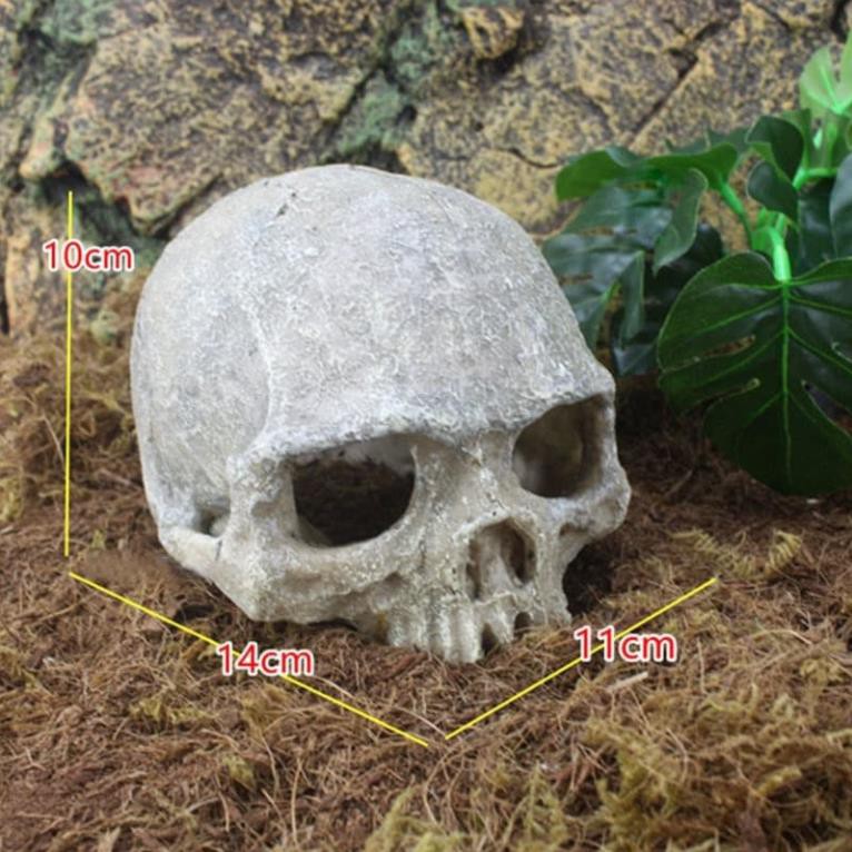 Phụ kiện Mô hình đầu sọ bằng nhựa trang trí chuồng .( Pet Khu vườn )