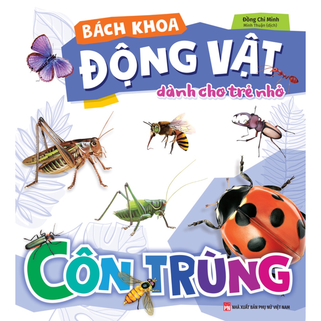 Sách - Bách Khoa Động Vật Dành Cho Trẻ Nhỏ Côn Trùng