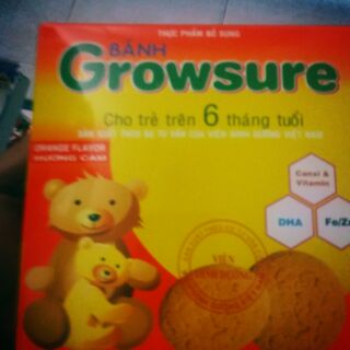 Bánh ăn dặm Growsure hương tự nhiên Bibica hộp 168g