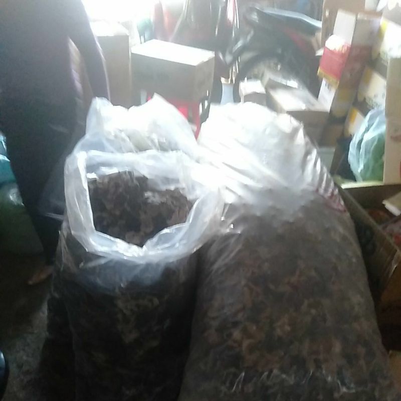 Mộc nhĩ- to,khô ngon cắt chân sạch sẽ