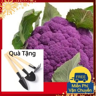 Hạt Giống Súp Lơ Tím Tặng Bộ Dụng Cụ Mini Trồng Cây Tặng Bộ Dụng Cụ Mini Trồng Cây