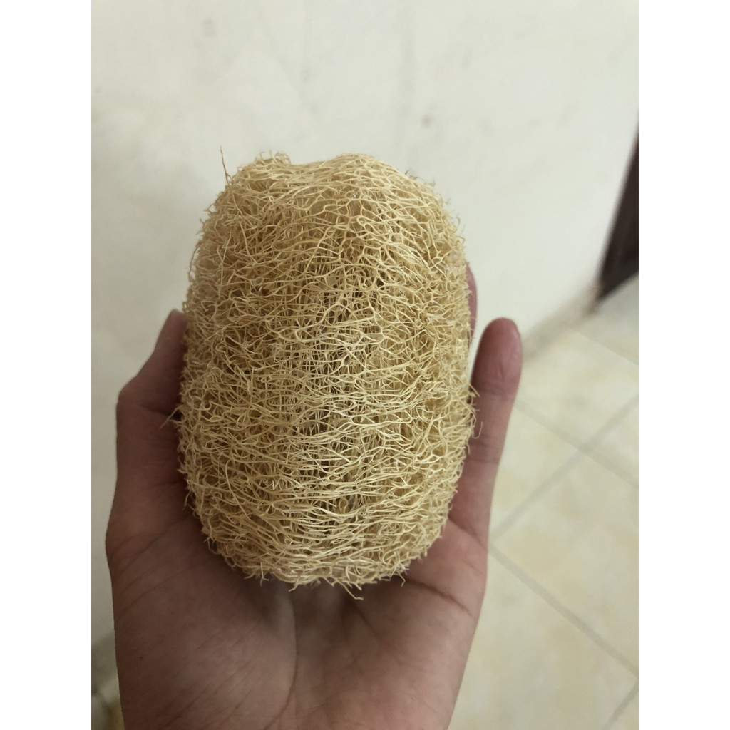 Combo Xơ mướp size 15-20cm