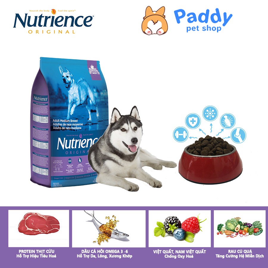 [500g] Hạt Nutrience Original Cho Chó Trưởng Thành Size Lớn - Cừu &amp; Rau Củ Quả