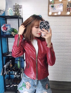 Áo khoác da cao cấp