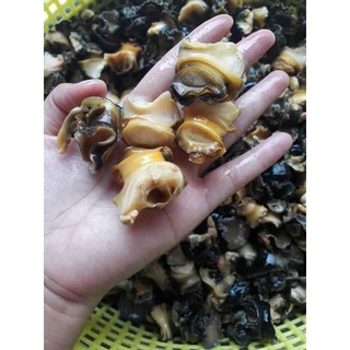 RUỘT ỐC BƯƠU LÀM SẠCH