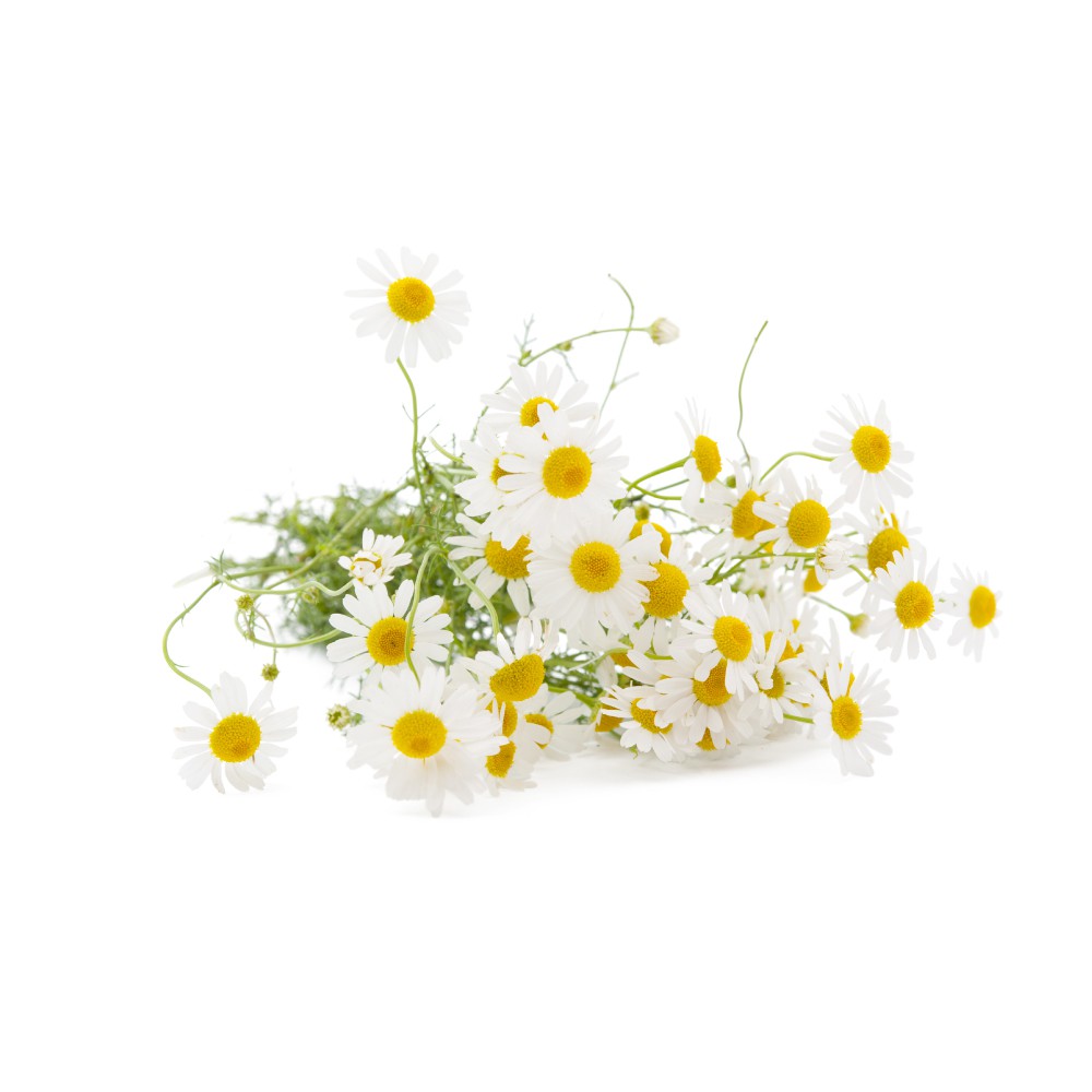 Serum Paula's Choice Skin Balancing Super Antioxidant Concentrate Serum - Tinh chất cân bằng độ ẩm, chống lão hóa 3350 | BigBuy360 - bigbuy360.vn