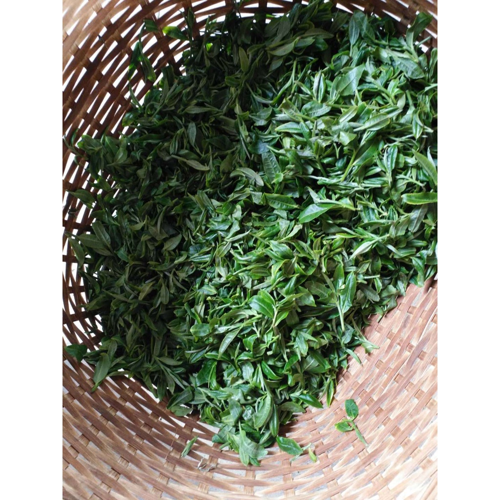 Trà Phổ Nhĩ Băng Đảo Chín-Vân Nam Bánh 357g Sản Xuất Năm 2016