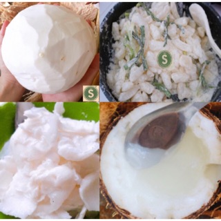 Combo 01 Dừa Sáp Loại 1 + 100g Mứt Dừa Sáp