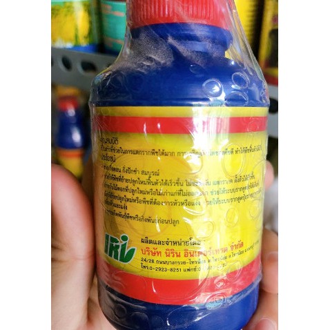 Vitamin B1 Thái lan (100ml)