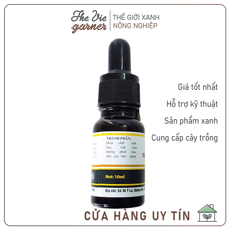 Chế phẩm sinh học ANBIO diệt kiến, gián tận gốc - 10ml