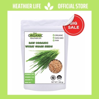Hạt giống cỏ lúa mì hữu cơ 500gr - cỏ lúa mì tiểu mạch thảo-heathier life