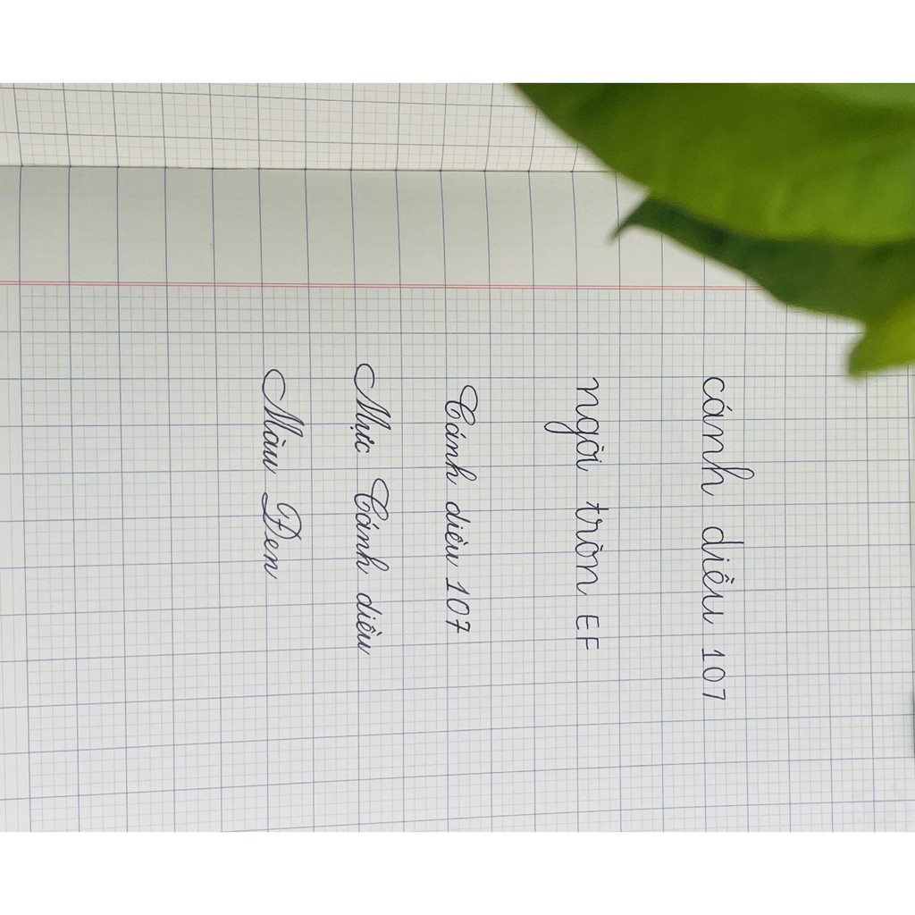 Bút Cánh Diều 107 ngòi trơn tròn đều