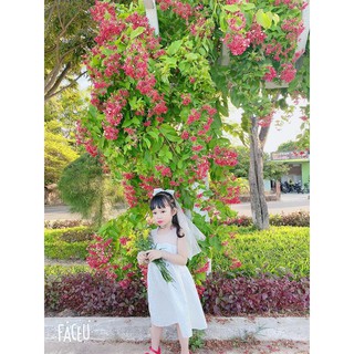 Váy trắng tiểu thư cho bé gái