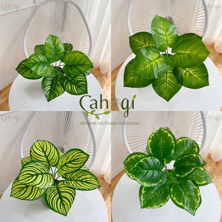 Cây Giả Trang Trí Cây Nhựa Đuôi Công Lá Đậm - Cây Trầu Bà Lá Viền -Cây Ngân Hậu (không kèm chậu cắm)