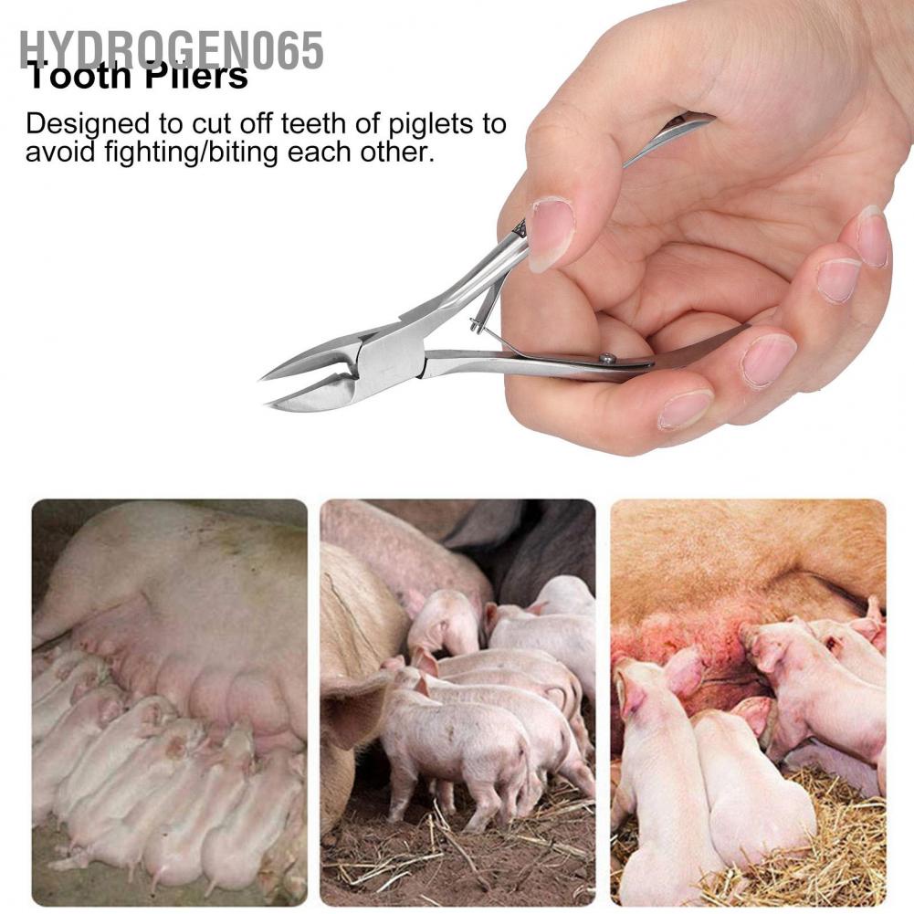 Hydrogen065 Piglet Teeth Cutter Pliers Stainless Steel Elbow Pig Tooth Nipper Livestock Equipment